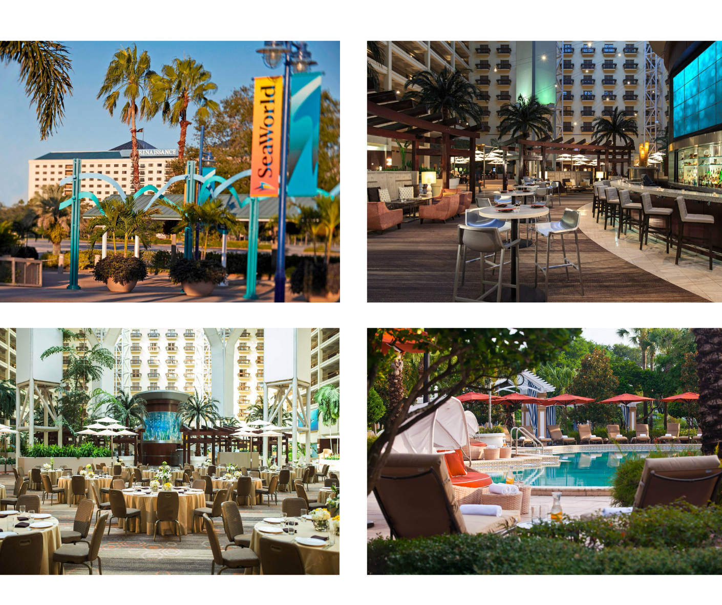 refer a member hotel pics 2 28 2022
